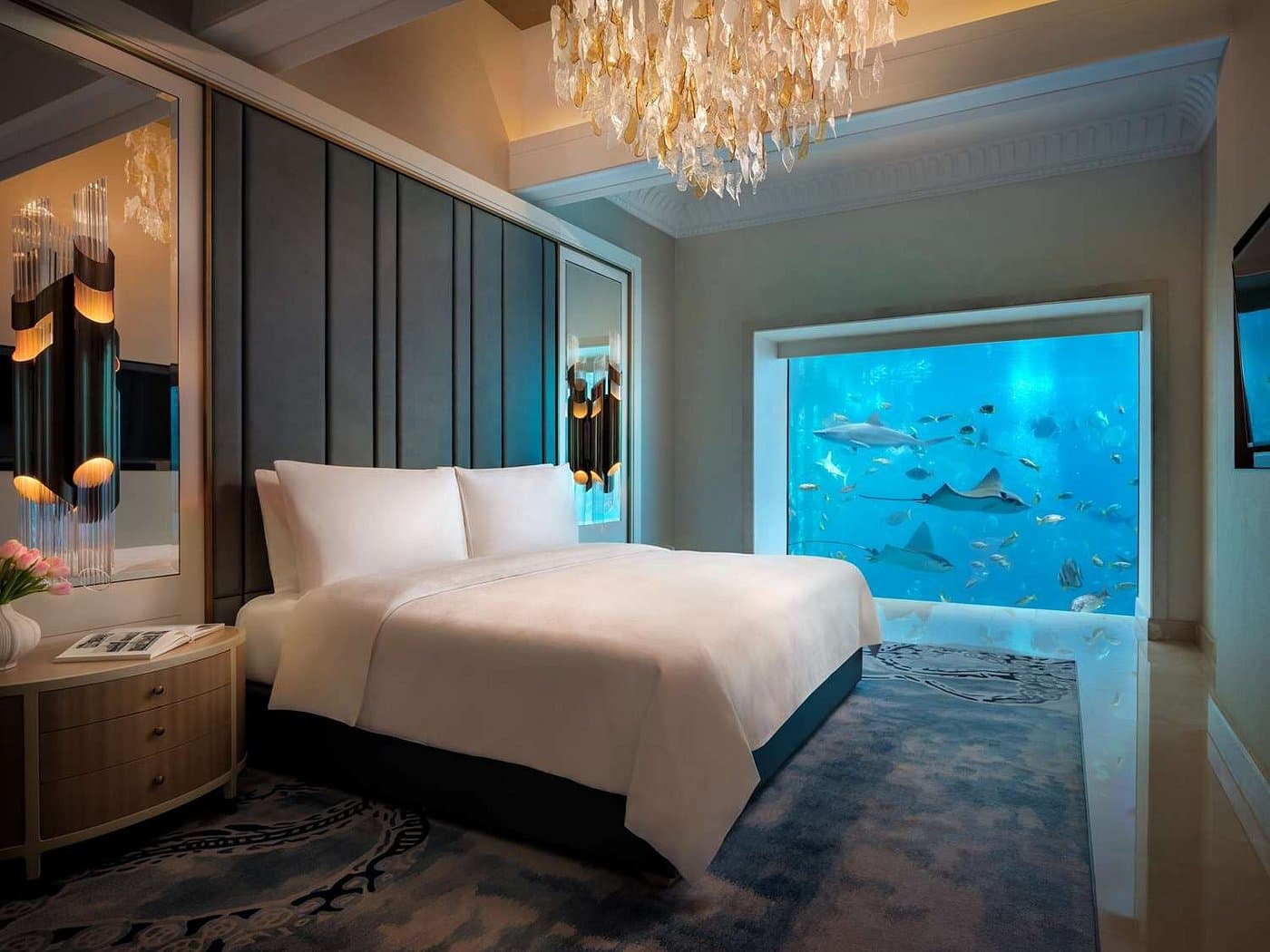 underwater suite